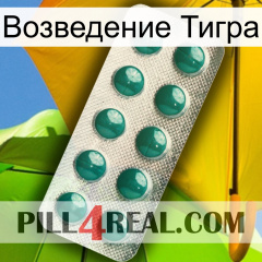 Возведение Тигра dapoxetine1